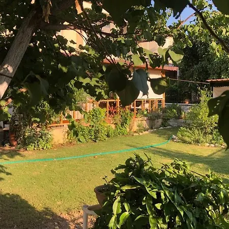 公寓 Spacious 2 Bedroom Family With Mountain View